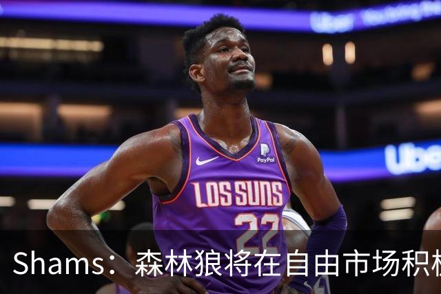 Shams：森林狼将在自由市场积极补强4号位 但他们只能提供底薪